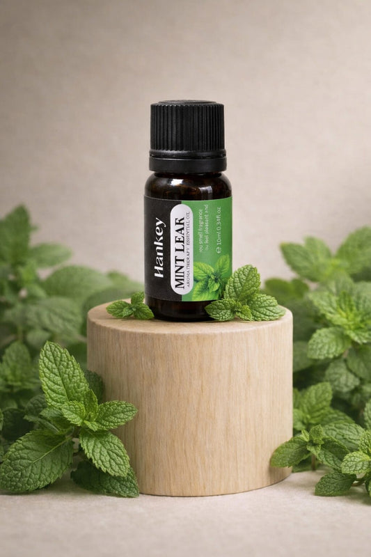 Huile Essentielle de Menthe - Concentration & Énergie